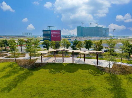 突出特色錯位發(fā)展 江海區(qū)構(gòu)建 外海制造 禮樂 農(nóng)業(yè) 工業(yè) 雙擎驅(qū)動 江南 總部 商貿(mào) 發(fā)展格局